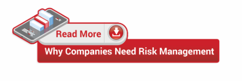 Why Companies Needs Risk Management